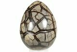 7.9" Septarian "Dragon Egg" Geode - Removable Section - #199992-1